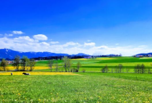 Le Gibloux景点图片