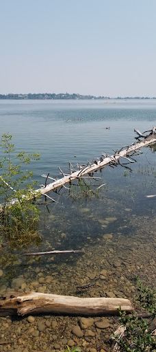 South Glenmore Park-卡尔加里