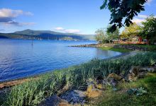 Cowichan Bay Marine Gateway Park景点图片