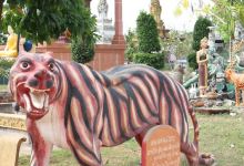 Wat Koh Tim Sothea景点图片