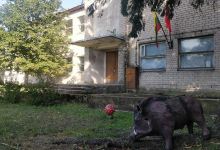 Lazdiju r. savivaldybes viesoji biblioteka, Meteliu filialas景点图片