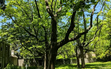 Hammond Museum and Japanese Stroll Garden