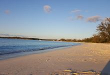 Garden Creations Plant Centre购物图片