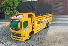 TRUCK OLENG PEKANBARU ( MTOP)购物图片