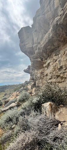 Cañadon Del Arroyo Calafate-阿根廷湖县