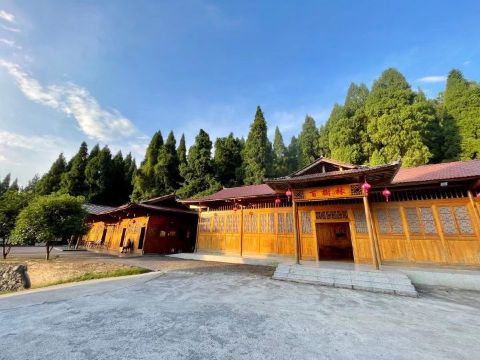 百树林农庄餐厅图片