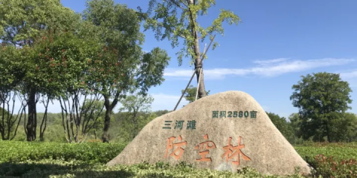 淮河柳樹灣濕地公園