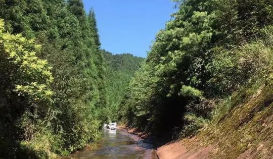 大坡森林公園