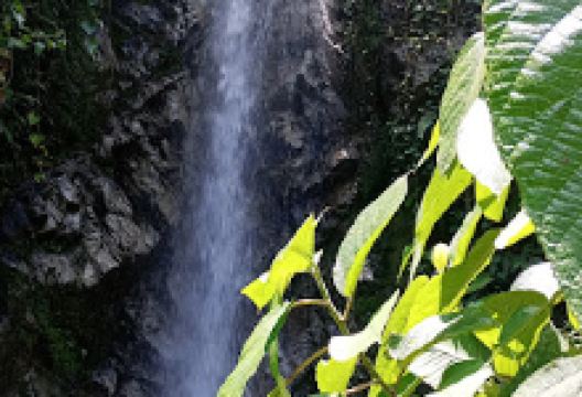 Túneles del Antiguo Ferrocarril景点图片