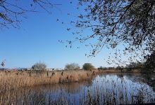 Casa de la Naturaleza Humedales del Anillo Verde - Marismas de Alday景点图片