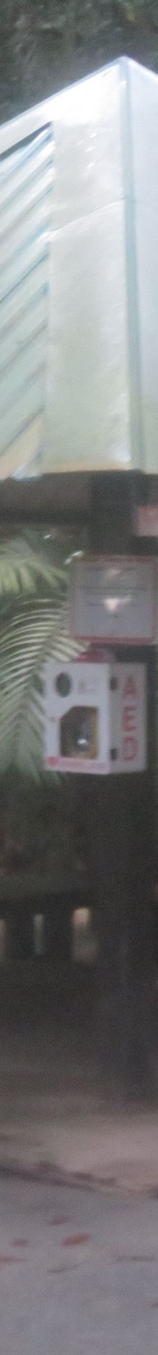 武吉知马天然保护区-新加坡