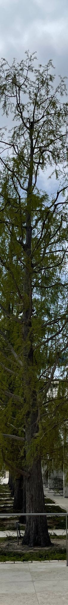 盖蒂中心-洛杉矶