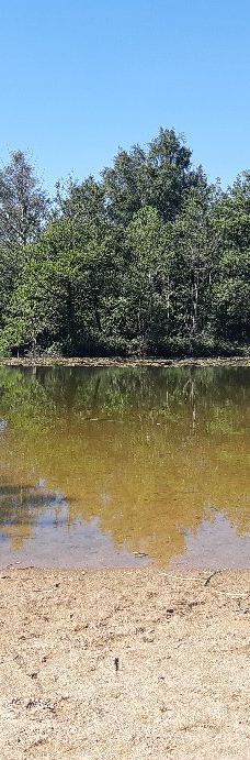 Parc des Gayeulles-雷恩