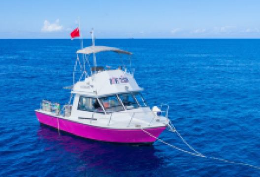 Divetech购物图片