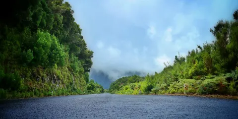 馬德拉月桂樹公園