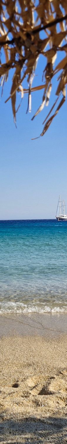 Elia海滩-米科诺斯