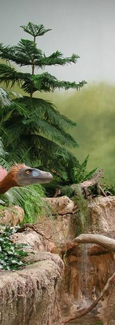 Naturbornholm-阿克尔科拜