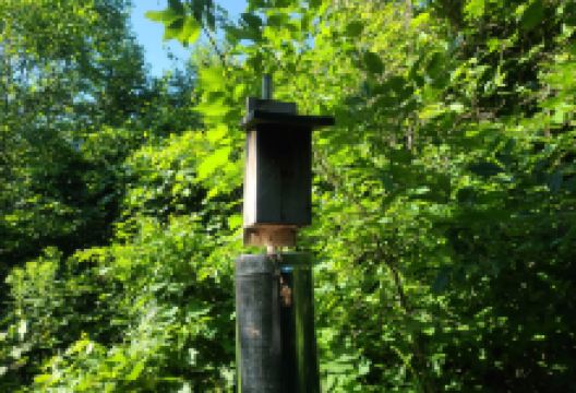 Scheeff East Point Nature Preserve景点图片