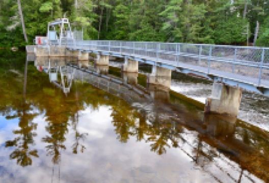 Wilsons Falls景点图片