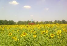 Suphanburi Agricultural Extension and Development Center景点图片