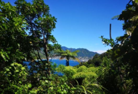 Kaipupu Sanctuary景点图片