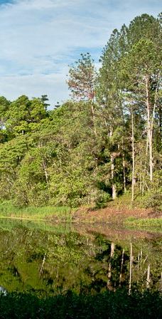 Finca Cantaros-圣维托