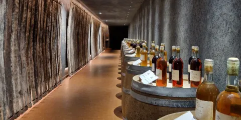 Azienda Agricola Casale del Giglio