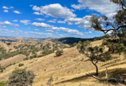Murchison Gap Lookout景点图片
