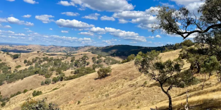 Murchison Gap Lookout