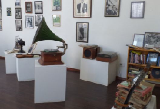 Museo Gardeliano景点图片