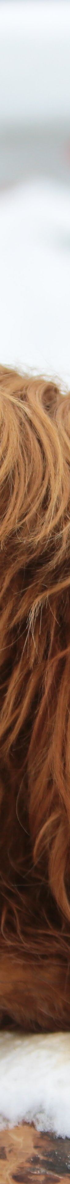 Hutsul Land Bukovel-波利亚尼齐亚