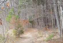 Sandy Creek Park景点图片