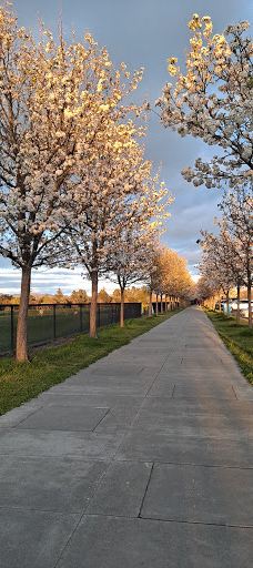 A Place to Play-圣罗莎