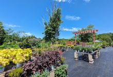 Cropley's Lawn & Garden Center购物图片