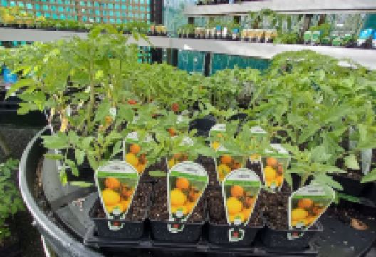 CBEC Garden Centre Kaitaia购物图片
