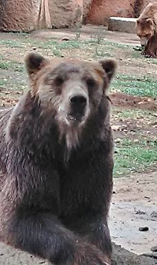 MORELIA ZOO ACUARIUM-莫雷利亚