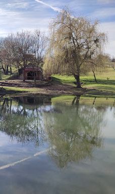 Szent Jakab forrás-瓦索伊