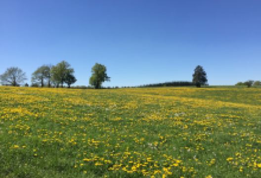Hohes Venn-Eifel Nature Park景点图片