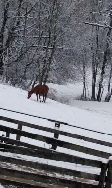 Schloss Lustbühel, Graz-格拉茨