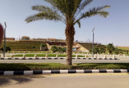 Al Ahmar Park Masjid景点图片