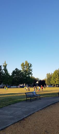 Swanson Park-奥尔巴尼