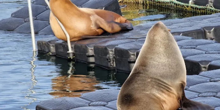 Marine Science Center