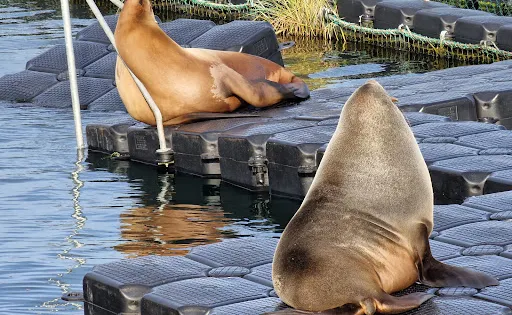 Marine Science Center