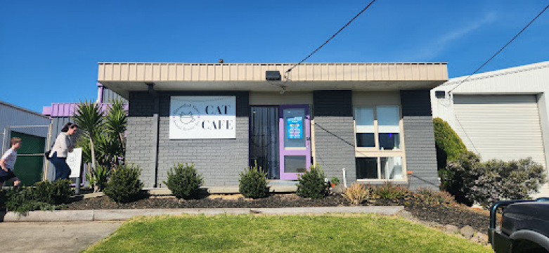 Grounded Paws Cat Café餐厅图片