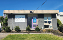 Grounded Paws Cat Café餐厅图片