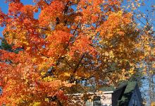 Museums of the Bethel Historical Society景点图片