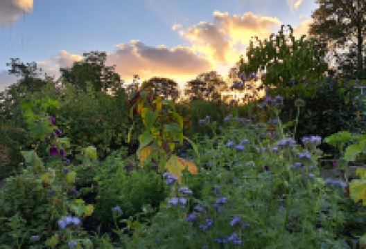 Volkstuindersvereniging Voorschoten景点图片