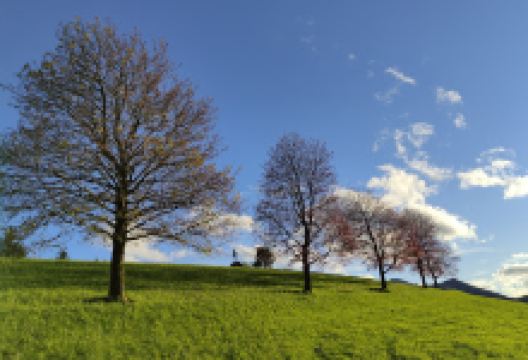 Erzherzog-Johann-Denkmal景点图片