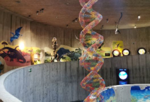 MUZEJ EVOLUCIJE I NALAZIŠTE PRAČOVJEKA HUŠNJAKOVO景点图片