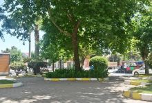 Şht. Astsubay Tuncay Urhan Parkı景点图片